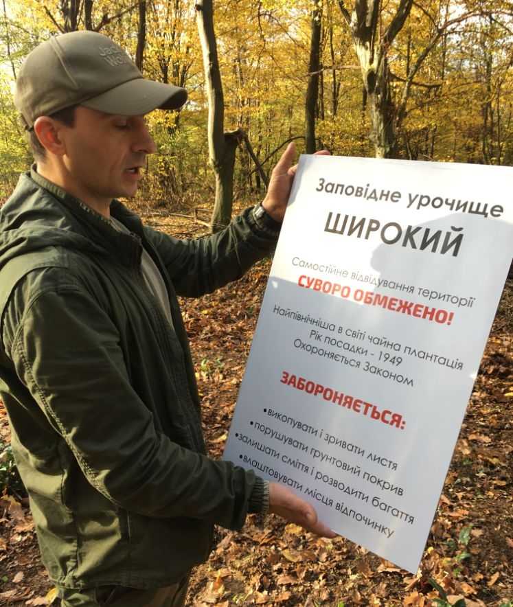 В Україні росте чай В Україні росте чай