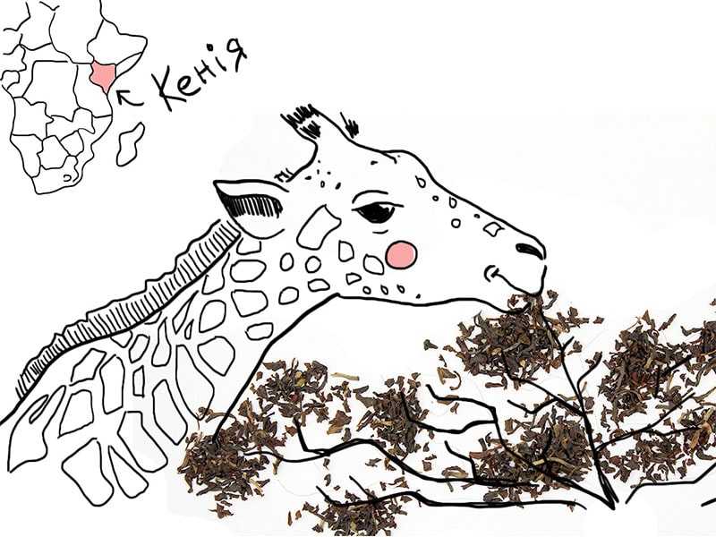 kenia-milima-min.jpg Чай Кенія Міліма GFBOP №310