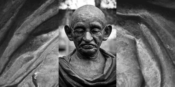 taniny-i-katehiny-ili-gandi-byl-ne-prav_5ed3de819e09e