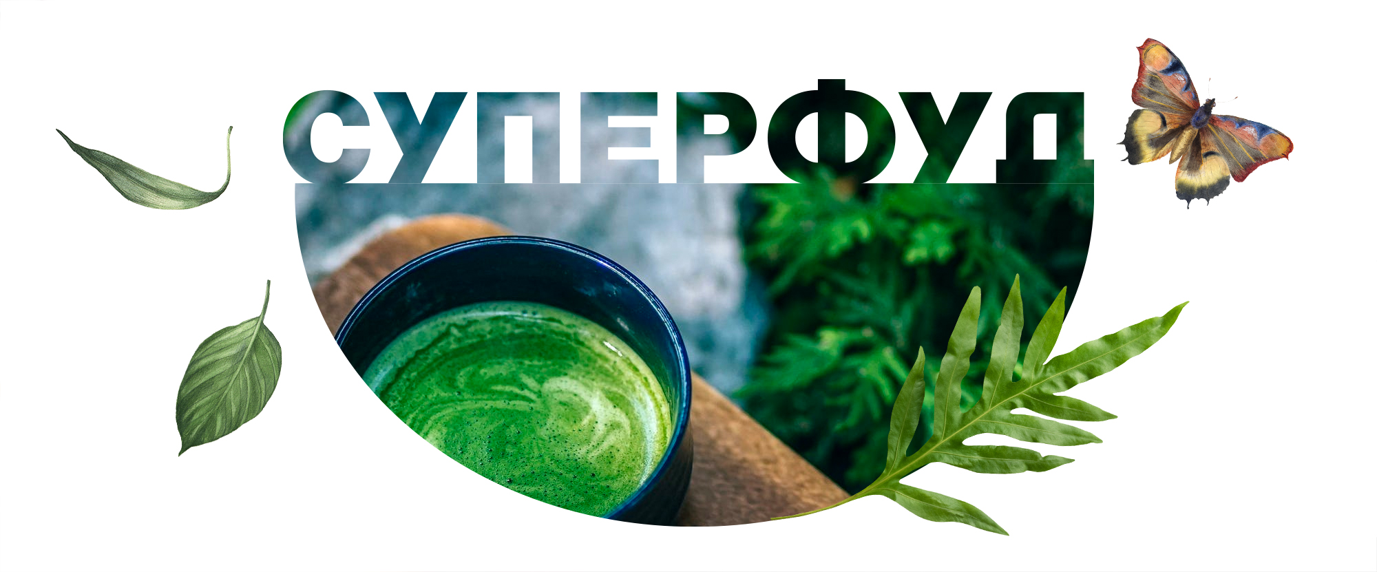 матча супефуд