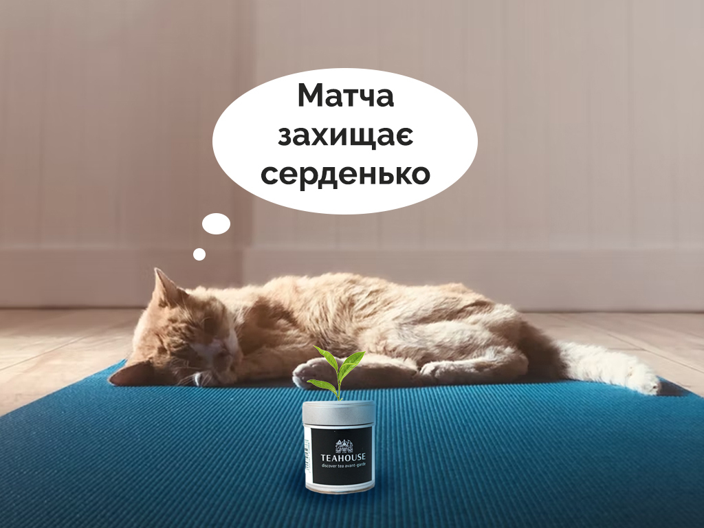 Чому матча така корисна? Матча польза для сердца