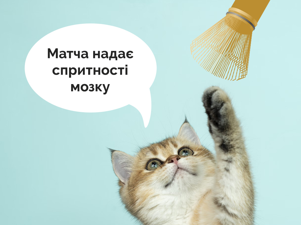 Чому матча така корисна? матча польза для мозга