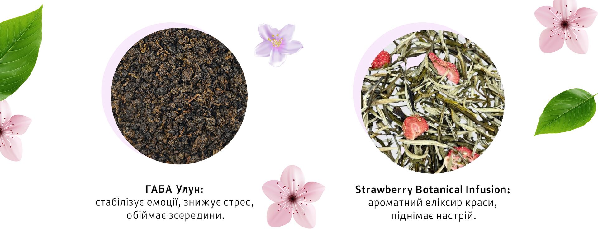 Добірка чаїв TEAHOUSE для натхненних весняних чаювань Добірка чаїв TEAHOUSE для натхненних весняних чаювань